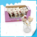 Pirulito duro de gato branco com sabor de leite 